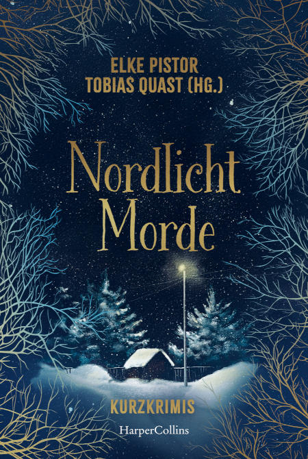 Nordlichtmorde. 20 Kurzkrimis – Buchcover
