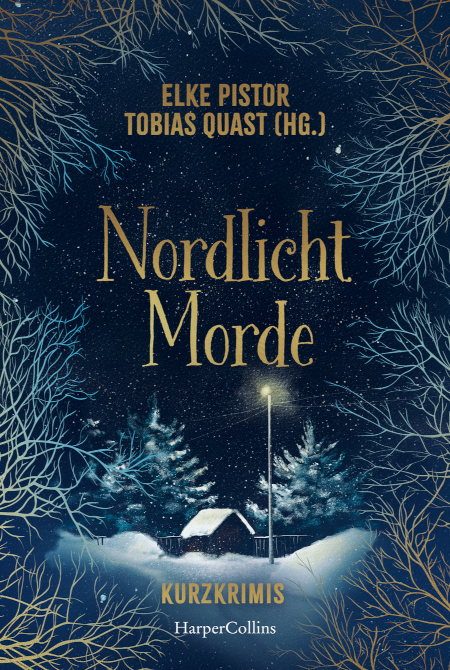 Nordlichtmorde. 20 Kurzkrimis – Buchcover